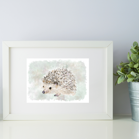 Nature's Own - Print - Hedgehog