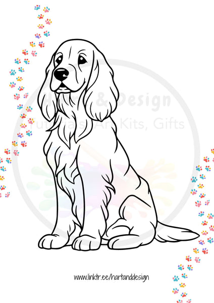 Dogs colouring in sheets - 30 pages Printed Pack
