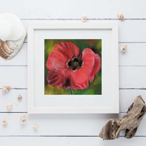 Nature's Own -  Single Poppy painting as a print (green background)