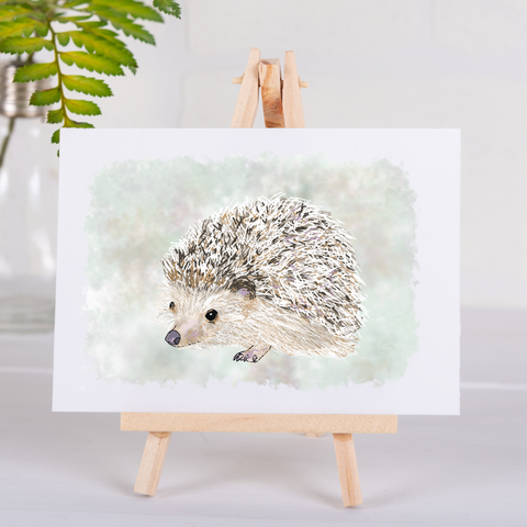 Nature's Own - Hedgehog - Greetings Card