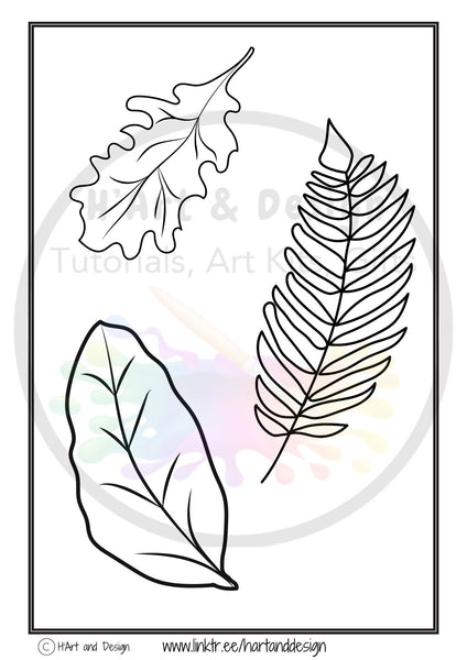 Leaf colouring in sheets, learn to draw sheets,  printable colouring in,  printable colouring page, download colouring page