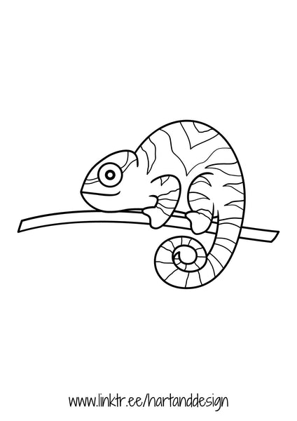 Lizard colouring in sheets, learn to draw sheets,  printable colouring in,  printable colouring page, download colouring page