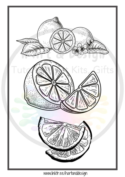 Kit for weekly theme daily online actvities - Citrus colouring in sheets, lemon, lime colouring page, learn to draw sheets,  daily wellness journal, printable colouring in,  printable colouring page, download colouring page DOWNLOAD