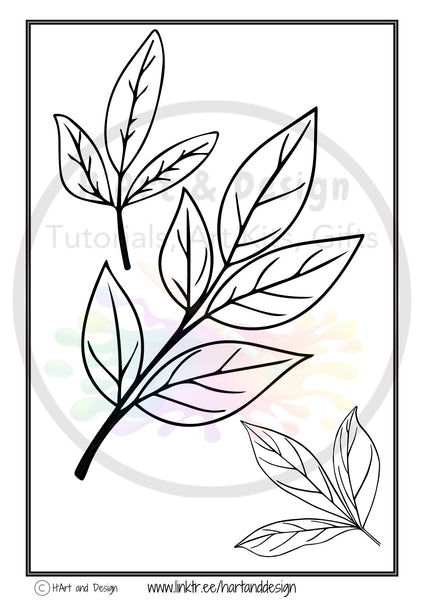 Leaf colouring in sheets, learn to draw sheets,  printable colouring in,  printable colouring page, download colouring page