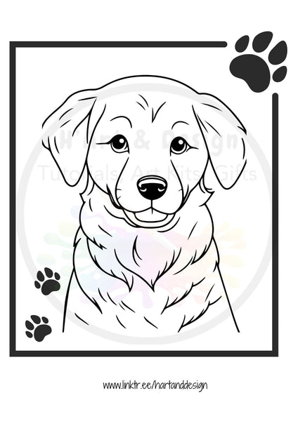 Dogs colouring in sheets - 30 pages Printed Pack