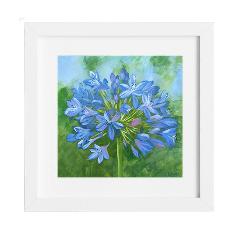Nature's Own - Agapanthus painting as a print
