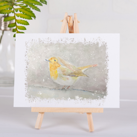 Nature's Own - Robin in snow - Greetings Card - HartandDesign